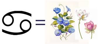 We've chosen the alstroemeria as the perfect zodiac flower for a cancer. Birthday Flowers Gift Guide Yes You Can Give Flowers As Per Zodiac Sign