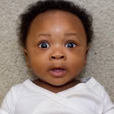 Annual report 2016-17