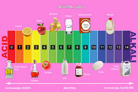 There Are 2 Indicators Litmus Paper Or Universal Indicator