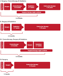 Breast Cancer Common Treatment Pathways Uw Carbone Cancer Center Madison Wisconsin Uw Health Madison Wi