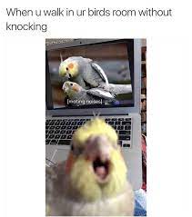 The 29 funny meme pictures if you are looking for thank you meme pictures. The Best Funny Memes Memebase Funny Memes