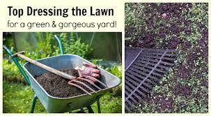 Check spelling or type a new query. Top Dressing Lawn How To Have Thicker Healthier Grass