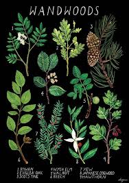 Ms kita perlu pasang beberapa panel, tapi kita tak perlu tunggu untuk mula bercucuk tanam. 97 Fruits Vege Herbs Spices Ideas Herbs Spices Malaysian Food Asian Recipes
