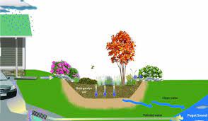 Installing a rain garden on your property is something that most homeowners can do all by themselves. Good For The Earth How To Make A Rain Garden Dengarden