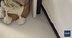 Pin On Avalon Carpet Collection