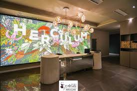 Situato ai piedi del monte domogled, nel centro di baile herculane, una zona rinomata per le sue acque minerali, l'afrodita resort & spa ospita in loco 2 ristoranti, che servono piatti della cucina. Afrodita Baile Herculane Paralela 45