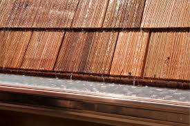 Find out which gutter guard holds up the best. Real Gutter Guard Costs Gutter Guard Price Per Foot For Installation