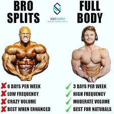 Increasemuscle Ectomorph Workout Gain Muscle Fun Workouts