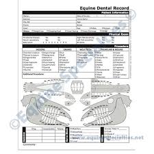 Veterinary Chart Equine Dental Dental Record And Charts