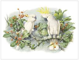 Obra Do Artista William T Cooper Parrots Art Bird Art Cockatoo