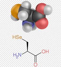Oleh karena ituprotein berperan penting dalam metabolisme sel. Balon Asam Amino Amine Grup Fungsional Kimia Protein Grup Carboxyl Protein Amino Acid Ac Id Amina Asam Amino Png Pngwing