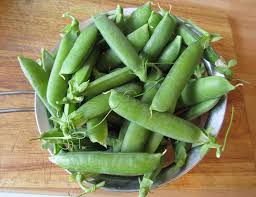 Image result for Pisum sativum