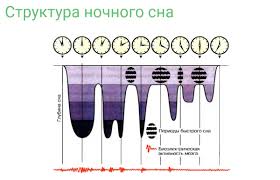 Vitaminy Dlya Sna Protiv Bessonnicy I Ozhireniya