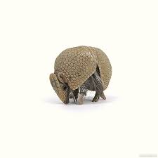 Monday No Thank You Armadillo Interesting Animals Animals Beautiful