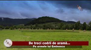 Arama her yerde m.fatih amasyali yapay zeka ders notları. Pe Urmele Lui Eminescu Codrii De AramÄƒ Youtube