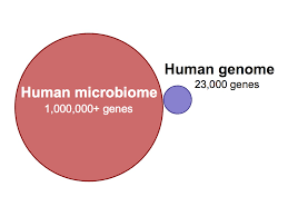 Simple But Profound Microbiome Human Genome Science Infographics