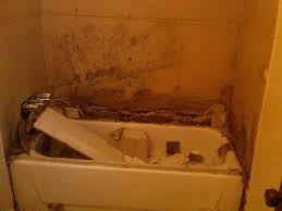 These conditions are often found in bathrooms. Why Does My Shower Smell N Huckins Construction
