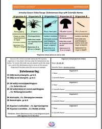 The handouts are application oriented and supplemental to the more important thing like creating bug find and count worksheet. Splendimoeba Sisters Worksheets Image Ideas Solved Video Recap Dichotomous Keysmoeb Chegg Comnswersnswer Jaimie Bleck