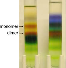 Noun very frequently can be found as head of structure of modification. Structure Function Stability And Chemical Modification Of The Cyanobacterial Cytochrome B6f Complex From Nostoc Sp Pcc 7120 Journal Of Biological Chemistry