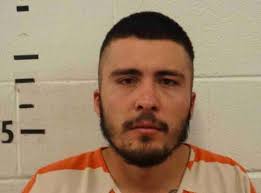 Cortez man pleads guilty in death of woman who fell from car roof