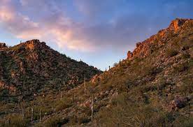 The price range displayed reflects the base price of the homes built in this community. New Luxury Homes For Sale In Fountain Hills Az Toll Brothers At Adero Canyon Adero Collection