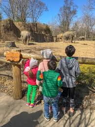 Starting today (january 1st), i will be starting a new series featuring 31 days of indoor fun for toddlers! 5 Fun Things To Do In St Louis With Kids Video The Gifted Gabber