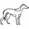 Free coloring pages of collie face. 1