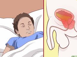 Check spelling or type a new query. 4 Cara Untuk Membasmi Telur Cacing Kerawit Wikihow
