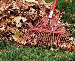 I frequently toss a rake in the back of my vehicle when i assist fellow gardeners on projects like the community garden and cleaning up wildflower areas. How To Choose The Right Rake Garden Gate