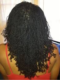 Mini Twists Natural Hair Growth N Thickness Mini Twists Natural Hair Natural Hair Styles Hair Styles