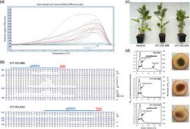 Check spelling or type a new query. The Solanum Tuberosum Gbssi Gene A Target For Assessing Gene And Base Editing In Tetraploid Potato Biorxiv