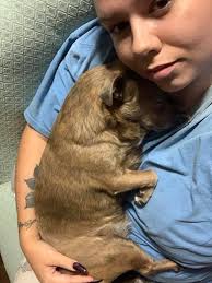 Why is my chug marking in the house again?