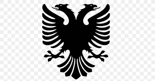 Although they used the same red. Flag Of Albania T Shirt Double Headed Eagle Albanian Language Png 600x429px Albania Albanian Language Beak