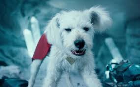 Joaquin Phoenix Dropping Out of Gay Romance Movie Was "Tough" for Director