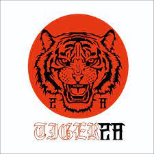 This article gives the light in which we can observe the reality. Tiger 28 Home Facebook