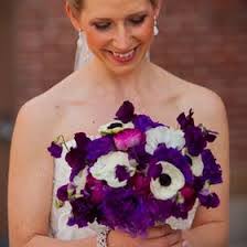 Heather Herold's Instagram, Twitter & Facebook