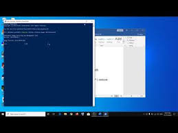 How To Fix Ms Windows Store Purgecaches The App Didn T Start Youtube