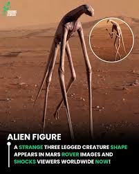 The internet has mixed opinions about an image from NASA showing an animal's face on Mars.