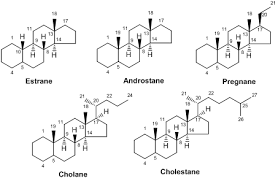 There are very few legitimate medical uses of anabolic androgenic steroids, including treatment of severe testosterone deficiency and certain kinds of anemia. Steroids Biochemicals And Reagents Tci Europe N V