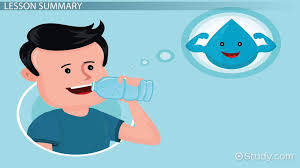 Most people aren't drinking enough water. Water Facts Lesson For Kids Video Lesson Transcript Study Com
