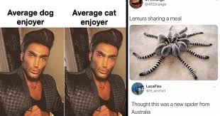 Average enjoyer memes use photos of james' youniverse to portray a basic or we've included our favorites but you can read more about the format over at know your meme. Memebase Exotic Animals All Your Memes In Our Base Funny Memes Cheezburger