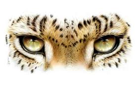 Leopard Eyes By Adam Scott Rote Leopard Eyes Dad Tattoos Big Tattoo