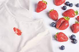Remove Berry Stains From Cloth Carpet And Upholstery