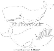 Jungle animals near the river. Sperm Whale Coloring Page At Getdrawings Free Download