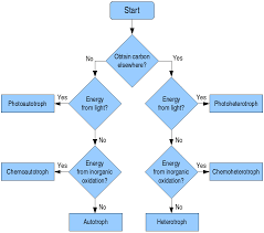 File Troph Flow Chart Png Wikimedia Commons