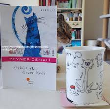 Moonlightcat13 Oyku Oyku Gezen Kedi Zeynep Cemali
