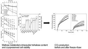 Massimo galli lascia la fulgorlibertas forlì e approda a chieti. Mal62 Overexpression Enhances Freezing Tolerance Of Baker S Yeast In Lean Dough By Enhancing Tps1 Activity And Maltose Metabolism Journal Of Agricultural And Food Chemistry X Mol