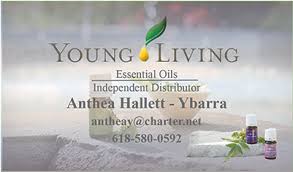 Young living business card front and back cards + personalized your information. Download Hd Young Living Business Card Template Oils Pinterest Young Living Business Card Example Transparent Png Image Nicepng Com