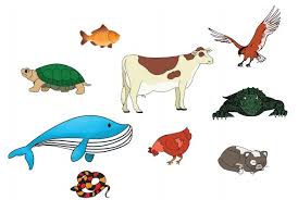 We did not find results for: Kunci Jawaban Tema 3 Kelas 4 Subtema 1 Halaman 17 18 19 20 21 Peduli Terhadap Makhluk Hidup Ringtimes Bali