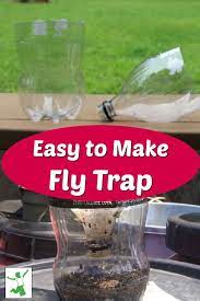 Quick And Easy Homemade Fly Trap Really Works Healthy Home Homemade Fly Traps Fly Traps Diy Fly Trap